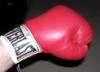 Ed Boxer