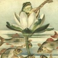 MusicalFrog